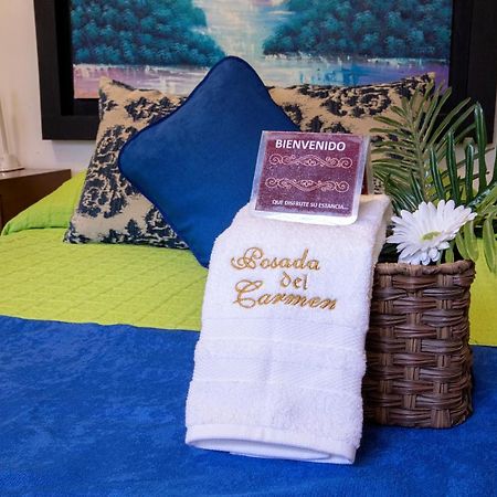 Hotel Posada Del Carmen 圣路易斯波托西 外观 照片
