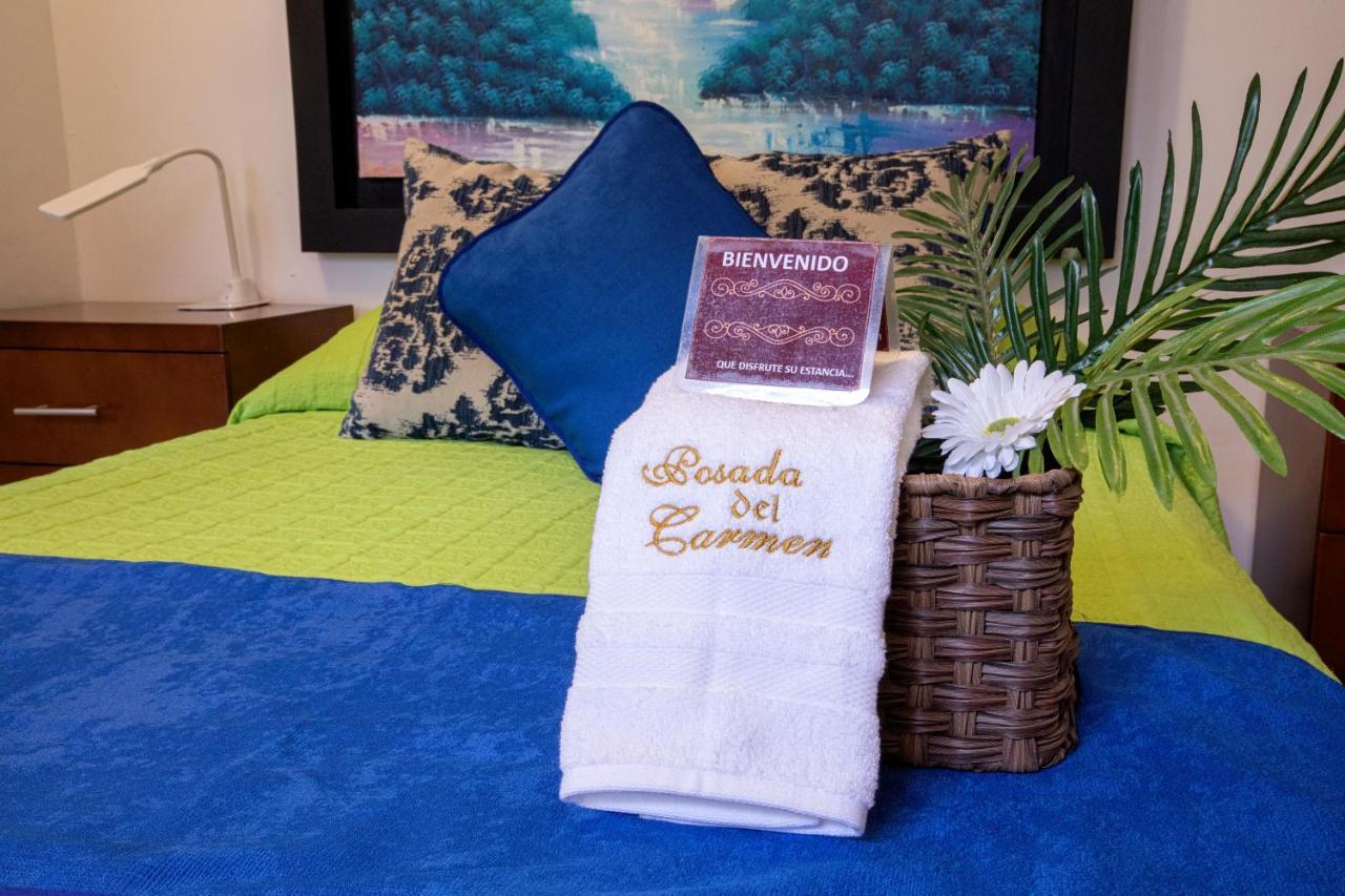 Hotel Posada Del Carmen 圣路易斯波托西 外观 照片