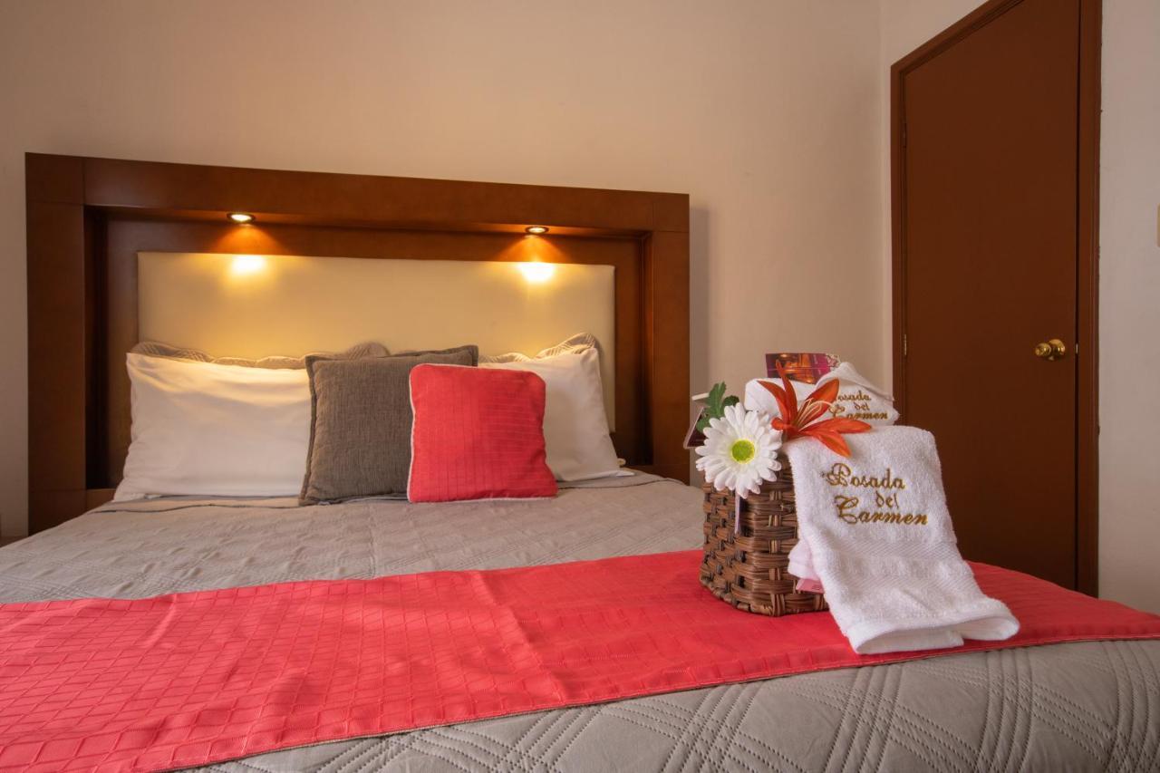 Hotel Posada Del Carmen 圣路易斯波托西 外观 照片