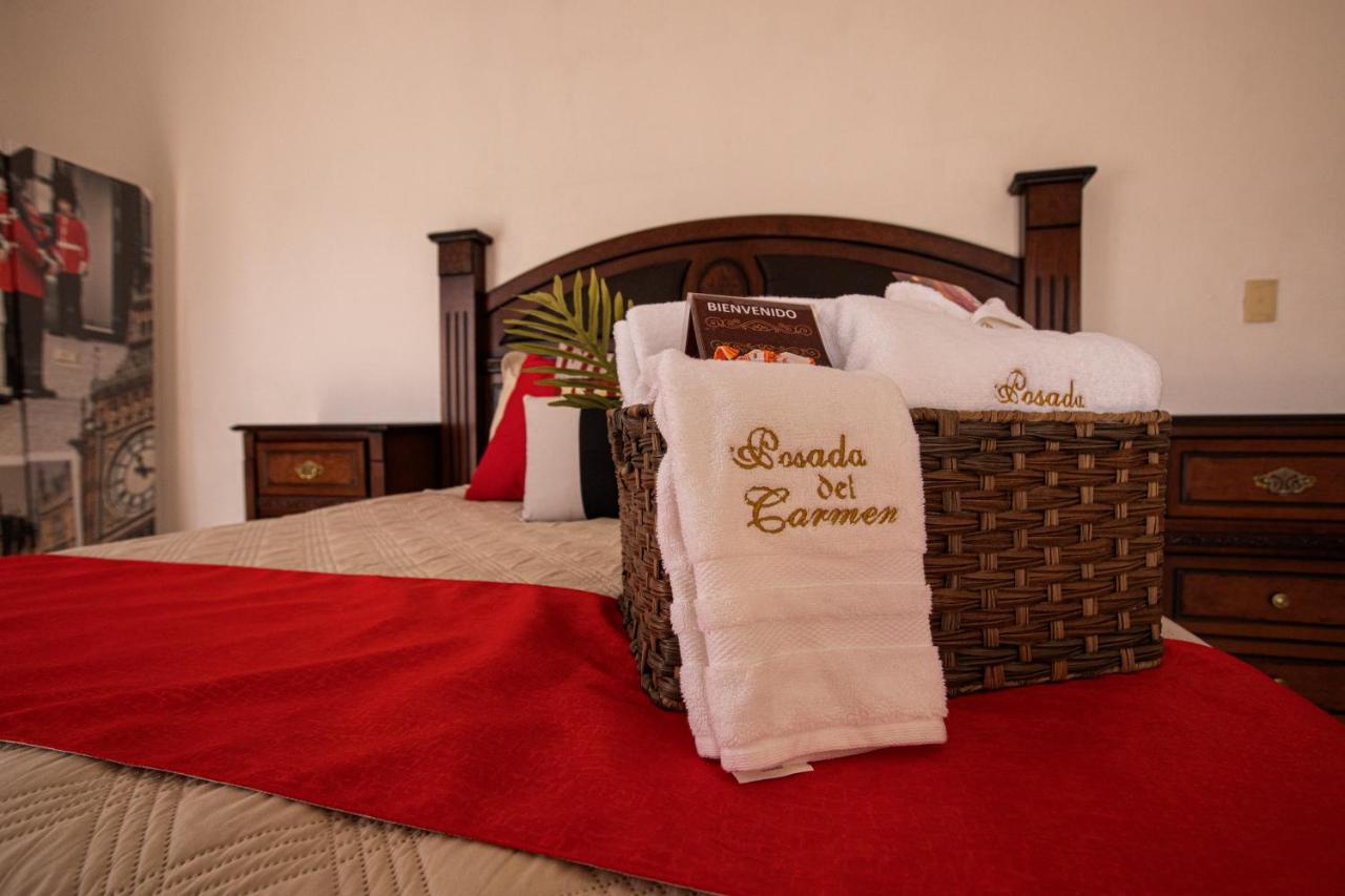 Hotel Posada Del Carmen 圣路易斯波托西 外观 照片