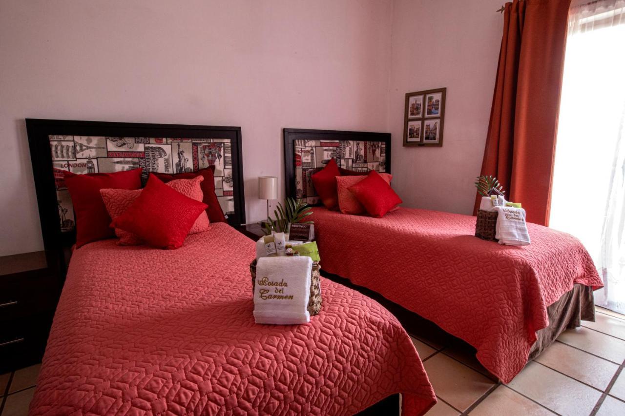 Hotel Posada Del Carmen 圣路易斯波托西 外观 照片