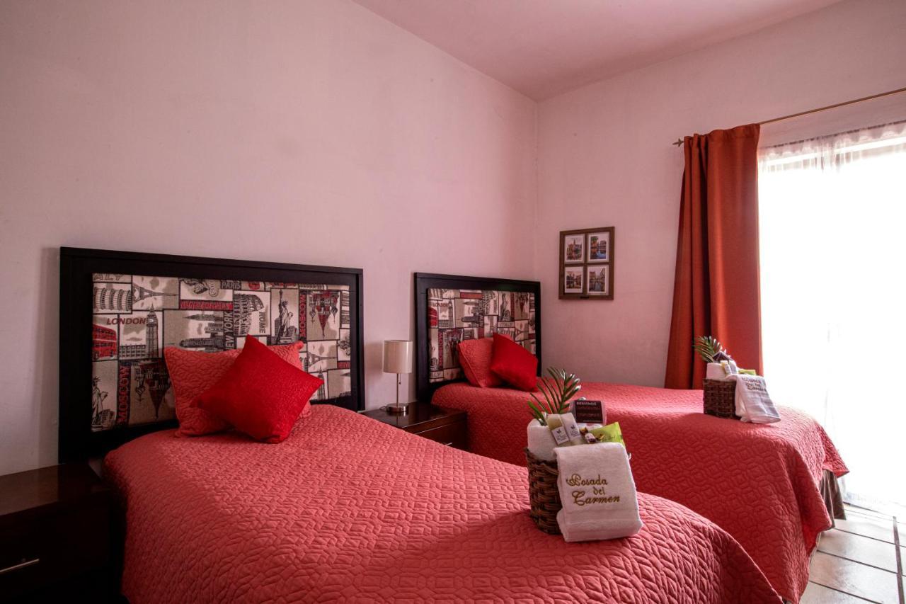 Hotel Posada Del Carmen 圣路易斯波托西 外观 照片