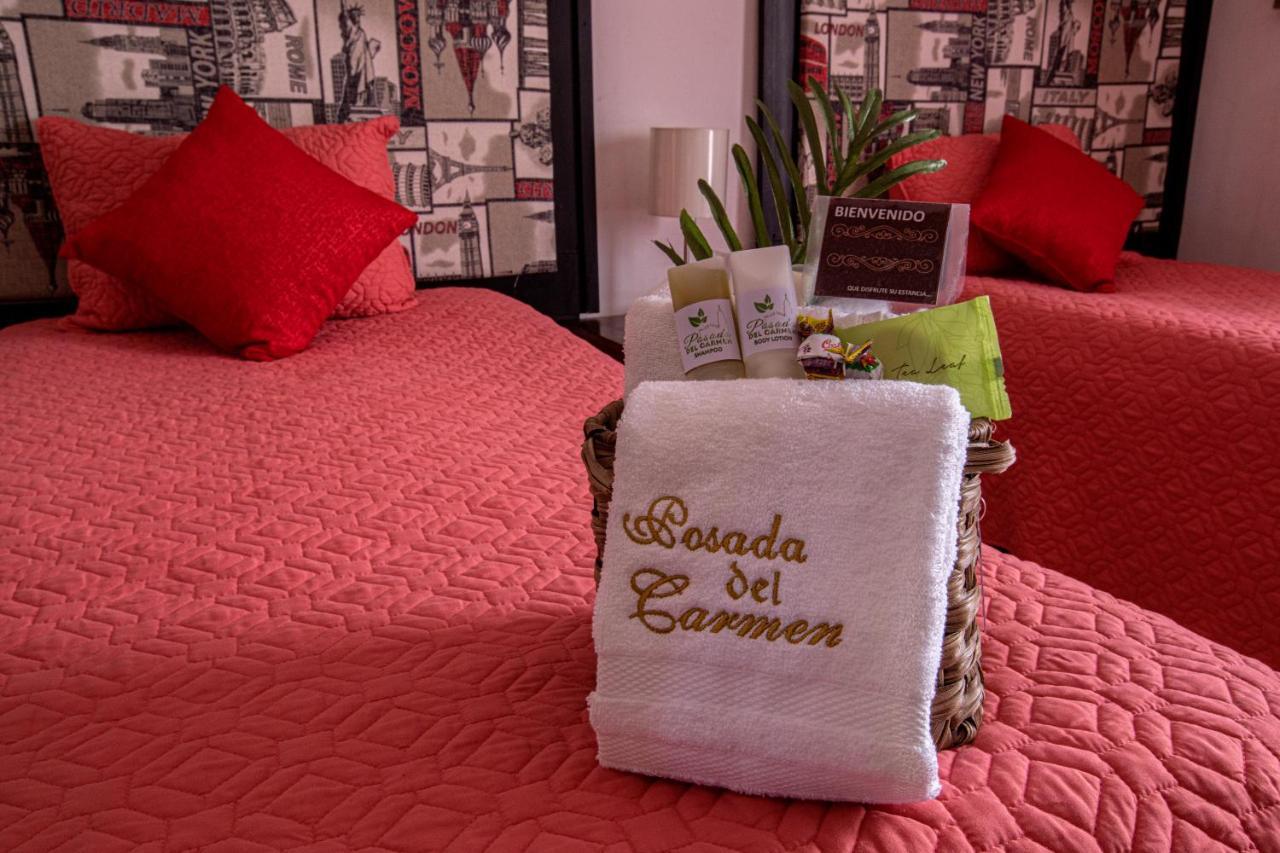 Hotel Posada Del Carmen 圣路易斯波托西 外观 照片